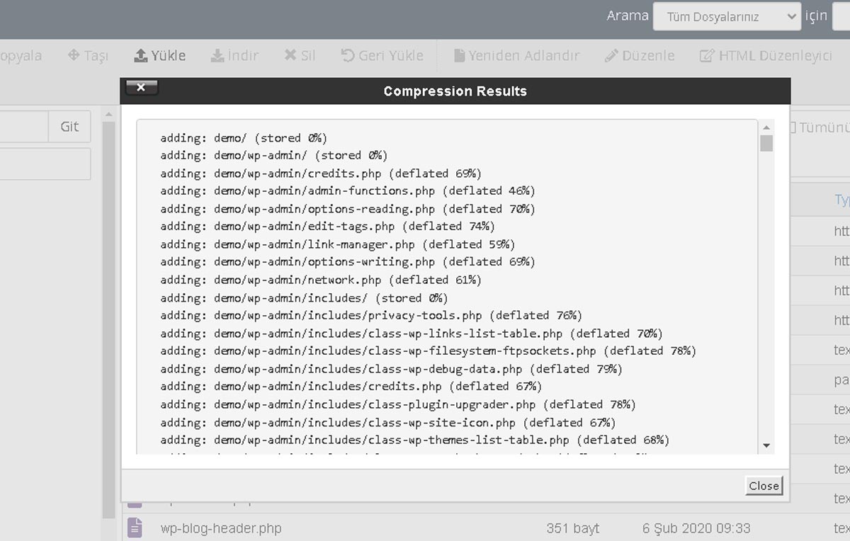 cPanel Dosya Yöneticisinde Sıkıştırma Tamamlandı